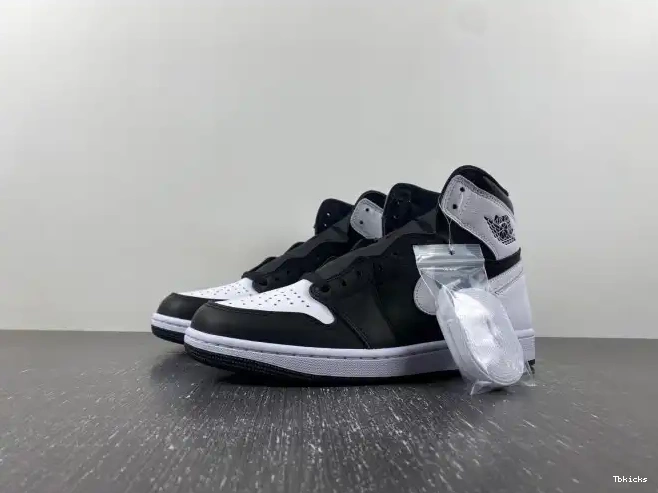 TBK Jordan Panda Air DZ5485-010 Reverse OG 1 High 0519